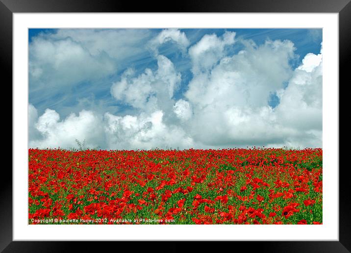 Poppy Field.Pembrokeshire. Framed Mounted Print by paulette hurley