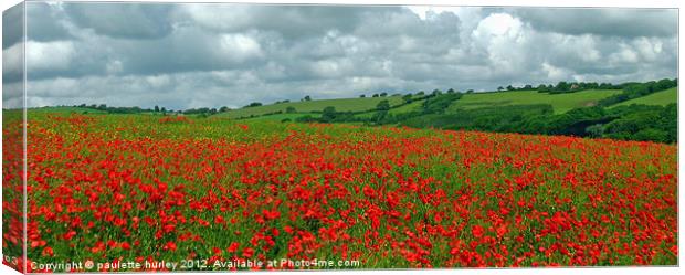 Red Poppy Field.Panorama View. Canvas Print by paulette hurley