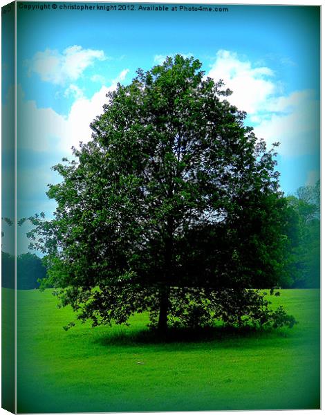 The Tree of Life Canvas Print by christopher knight