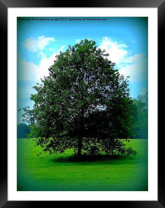 The Tree of Life Framed Mounted Print by christopher knight