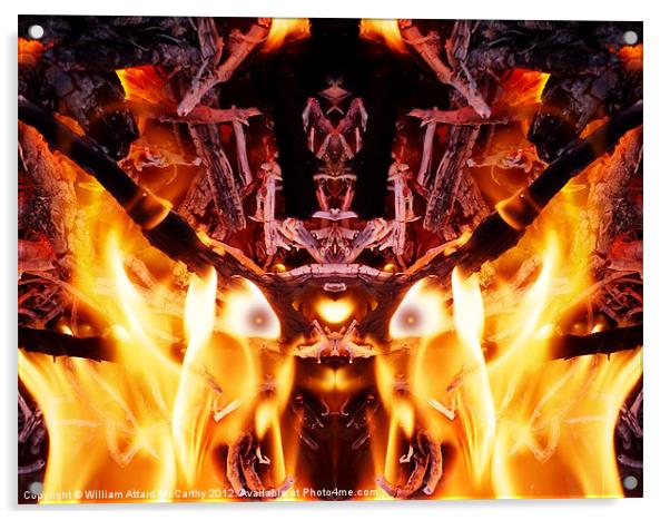Fire Bug Acrylic by William AttardMcCarthy