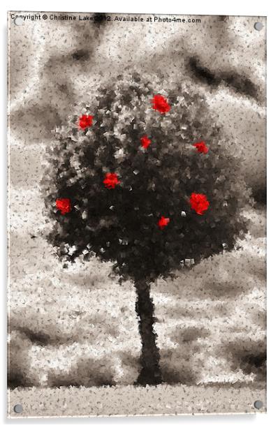 Rose Tree Acrylic by Christine Lake