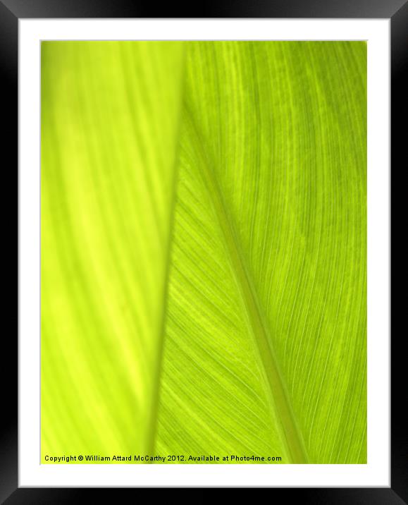 Going Green Framed Mounted Print by William AttardMcCarthy
