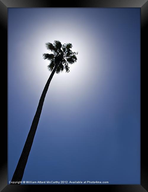 Palm Tree Silhouette Framed Print by William AttardMcCarthy