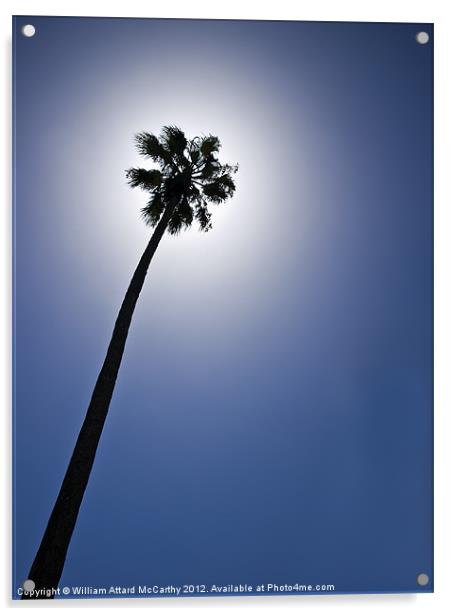 Palm Tree Silhouette Acrylic by William AttardMcCarthy