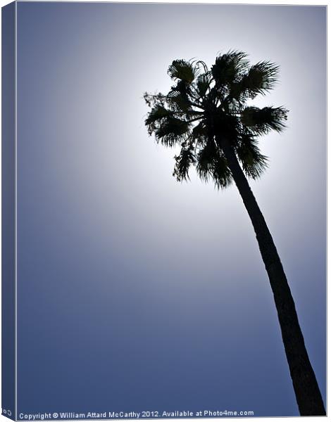 Palm Tree Silhouette Canvas Print by William AttardMcCarthy