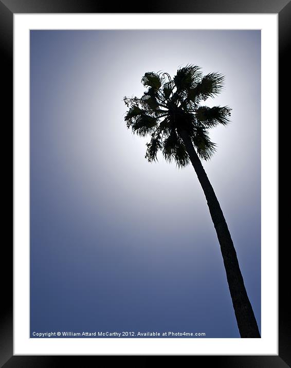 Palm Tree Silhouette Framed Mounted Print by William AttardMcCarthy