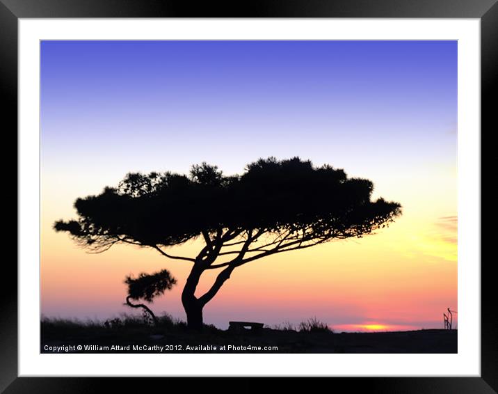 Tranquility Framed Mounted Print by William AttardMcCarthy