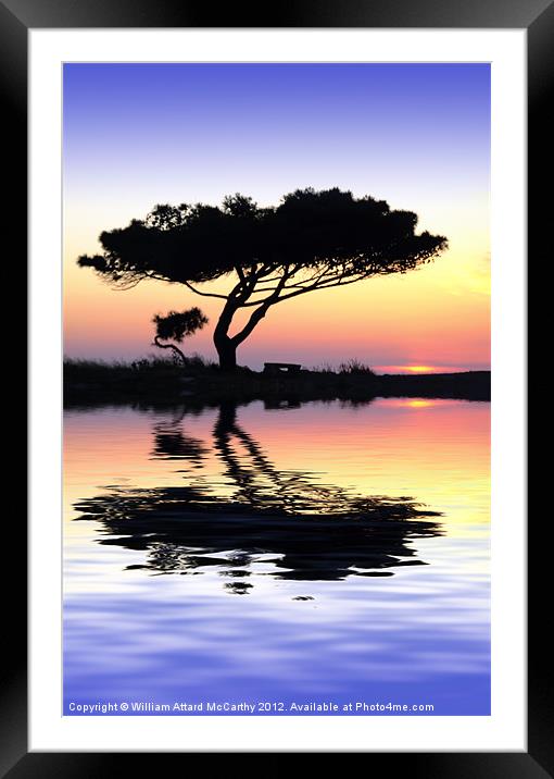 Tranquility at Water's Edge Framed Mounted Print by William AttardMcCarthy