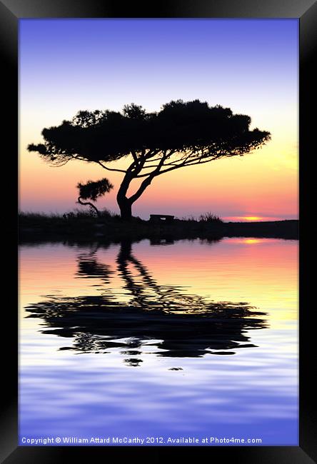 Tranquility at Water's Edge Framed Print by William AttardMcCarthy