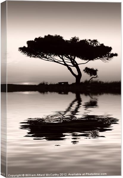 Tranquility at Water's Edge Canvas Print by William AttardMcCarthy