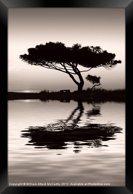 Tranquility at Water's Edge Framed Print by William AttardMcCarthy