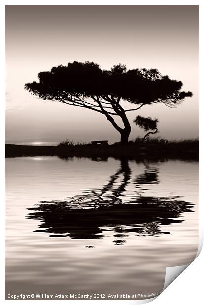 Tranquility at Water's Edge Print by William AttardMcCarthy