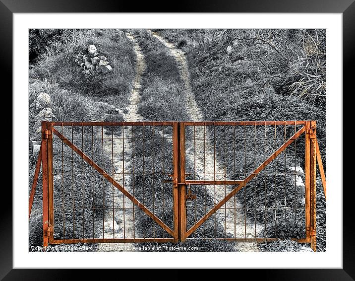 The Gate Framed Mounted Print by William AttardMcCarthy