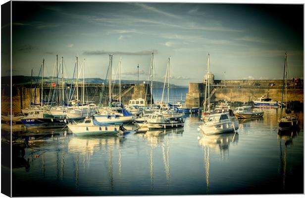 Saundersfoot Boats Lomo Canvas Print by Steve Purnell