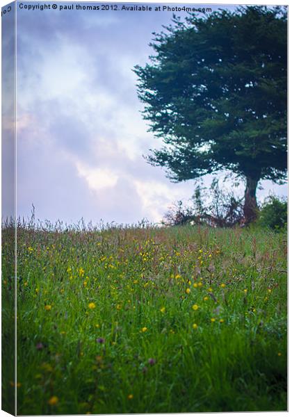 Dew meadow flowers Canvas Print by paul thomas