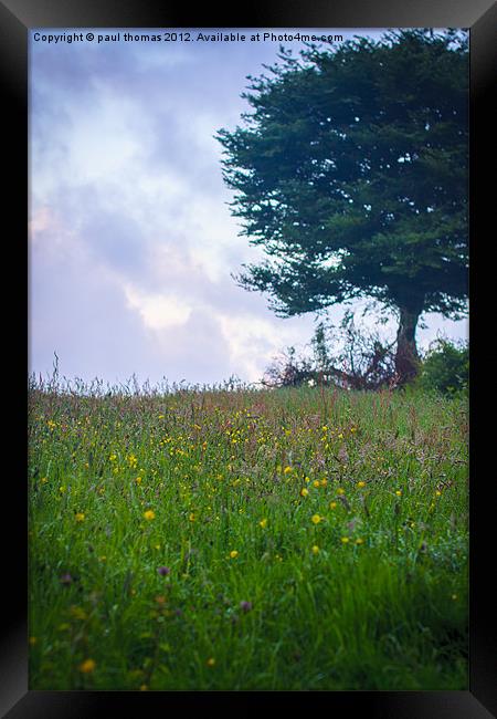 Dew meadow flowers Framed Print by paul thomas