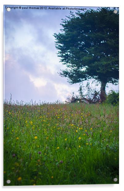 Dew meadow flowers Acrylic by paul thomas