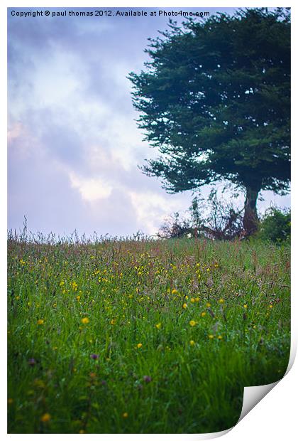 Dew meadow flowers Print by paul thomas
