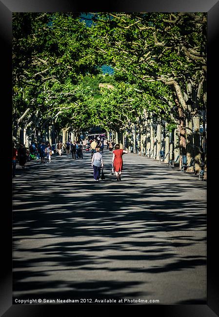 People on the street. Framed Print by Sean Needham
