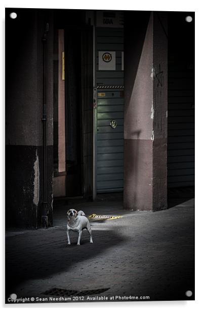 Dog on the street. Acrylic by Sean Needham