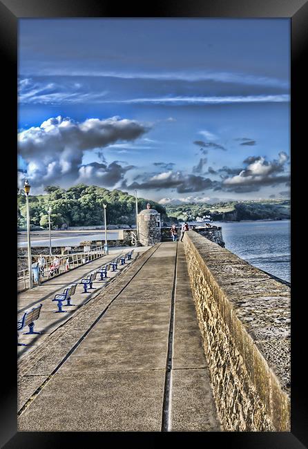 Along the Sea Wall Framed Print by Steve Purnell