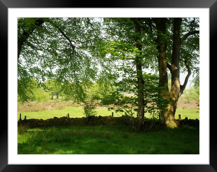Come, Share a Picnic with me. Framed Mounted Print by Heather Goodwin