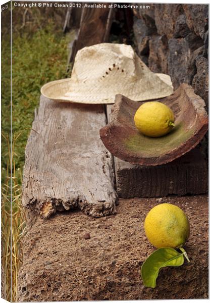 Lemons and straw hat found still life Canvas Print by Phil Crean