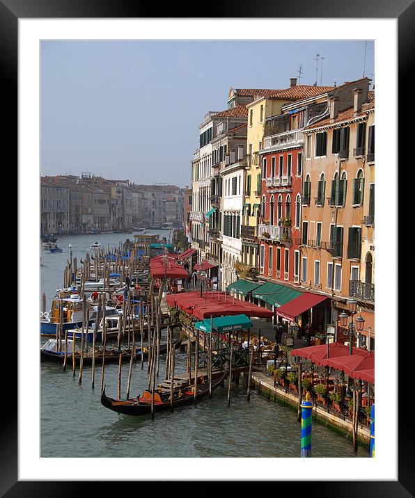 The Grand Canal Venice Framed Mounted Print by David Worthington