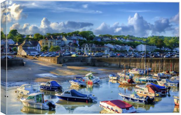 Across Saundersfoot Harbour Painted Canvas Print by Steve Purnell