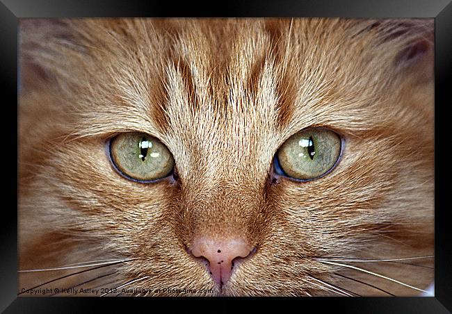 Windows to the soul Framed Print by Kelly Astley