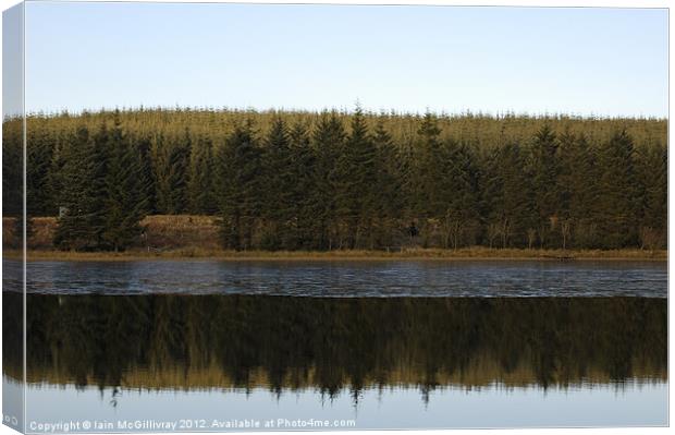 Upland Loch and Forest Canvas Print by Iain McGillivray