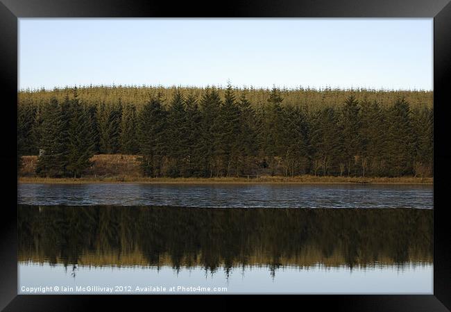 Upland Loch and Forest Framed Print by Iain McGillivray