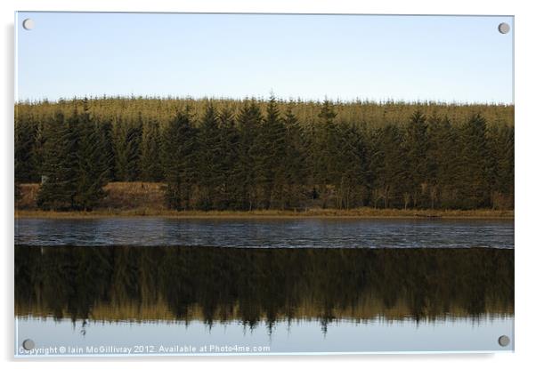 Upland Loch and Forest Acrylic by Iain McGillivray