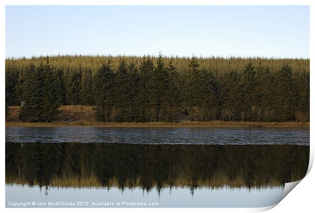 Upland Loch and Forest Print by Iain McGillivray