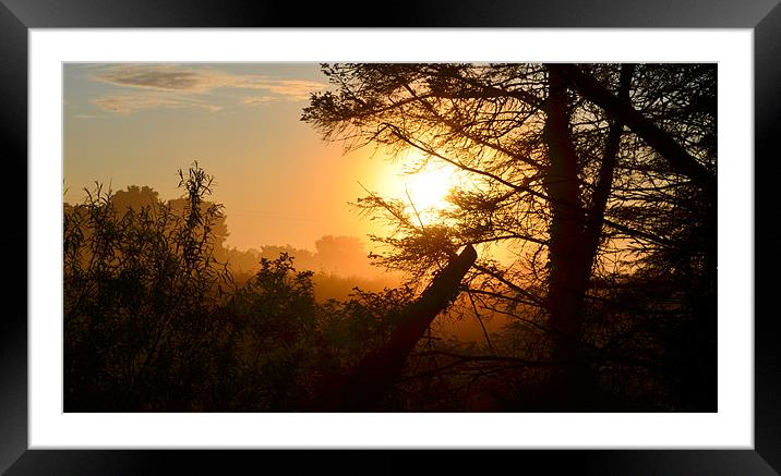 Sunrise Framed Mounted Print by barbara walsh