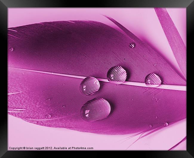 Droplets Framed Print by Brian  Raggatt