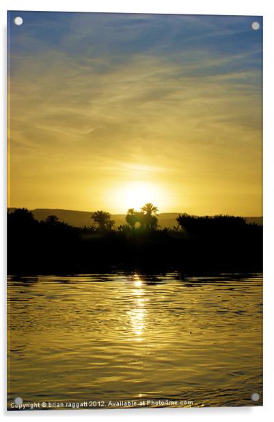 Nile Sunset Acrylic by Brian  Raggatt