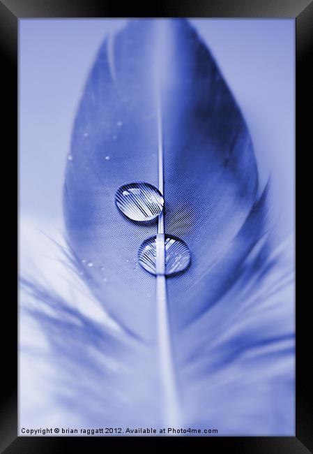 Two drops Framed Print by Brian  Raggatt