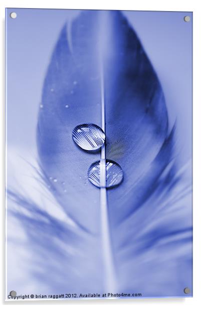 Two drops Acrylic by Brian  Raggatt