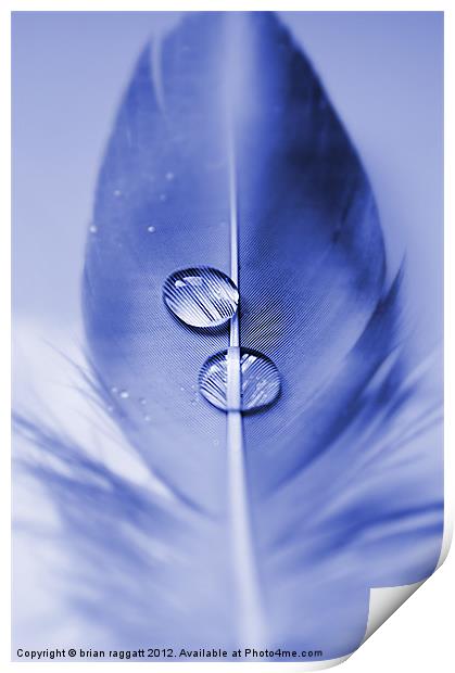 Two drops Print by Brian  Raggatt