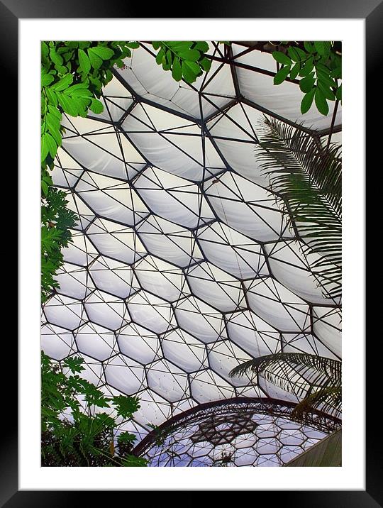 Eden Project Cornwall Framed Mounted Print by Mike Gorton
