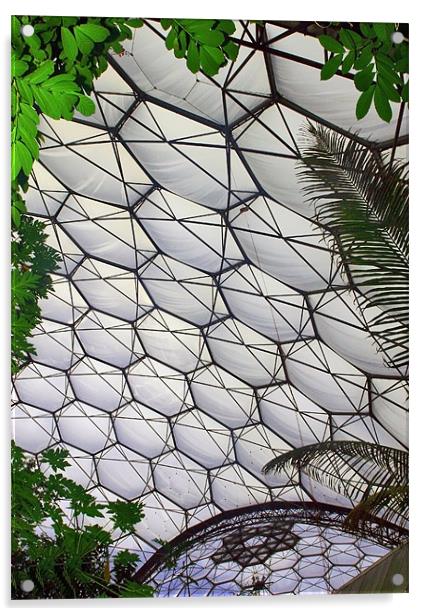 Eden Project Cornwall Acrylic by Mike Gorton
