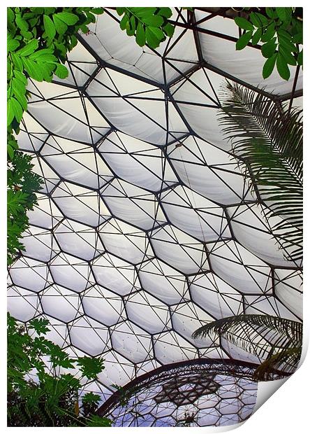 Eden Project Cornwall Print by Mike Gorton