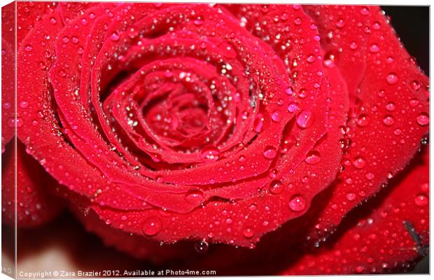 Rose droplets Canvas Print by Zara Brazier