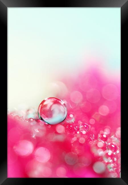 A Drop with Raspberrys and Cream Framed Print by Sharon Johnstone