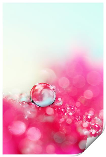 A Drop with Raspberrys and Cream Print by Sharon Johnstone