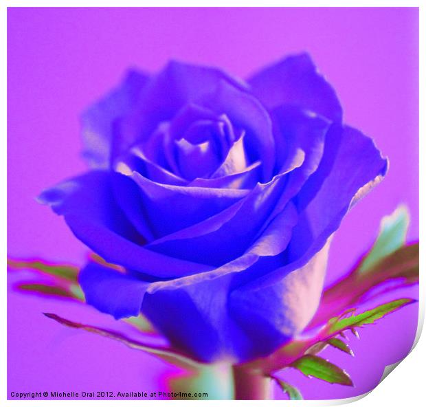 Blue Rose Print by Michelle Orai