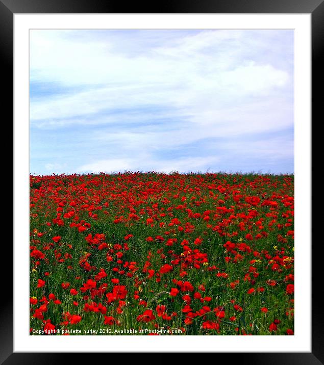 Poppy.Remembrance Day. Framed Mounted Print by paulette hurley