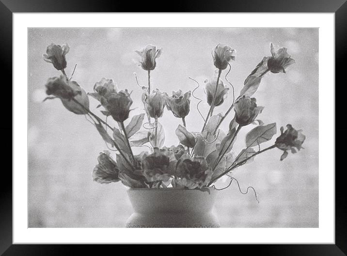 Flowers Framed Mounted Print by Jake Holman